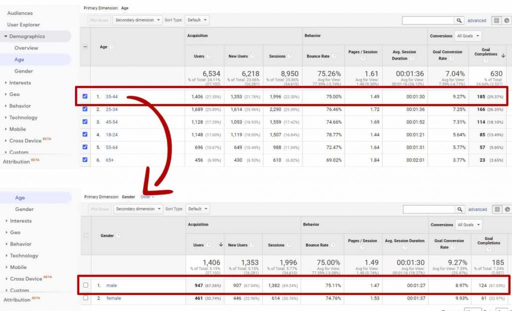 Google Analytics Demographic Data